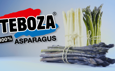 Nieuwe bedrijfsfilm Teboza